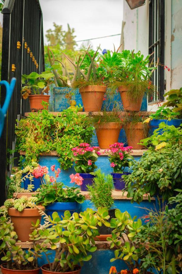 Bohemian Villa Málaga Álora Exterior foto